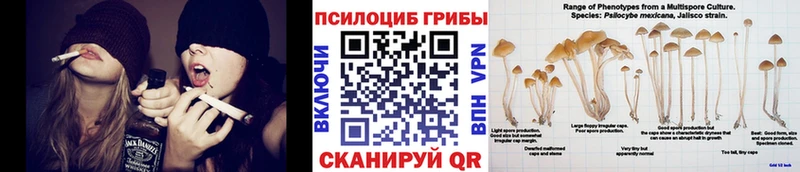Купить где  Мыски  Псилоцибиновые грибы MAGIC MUSHROOMS 